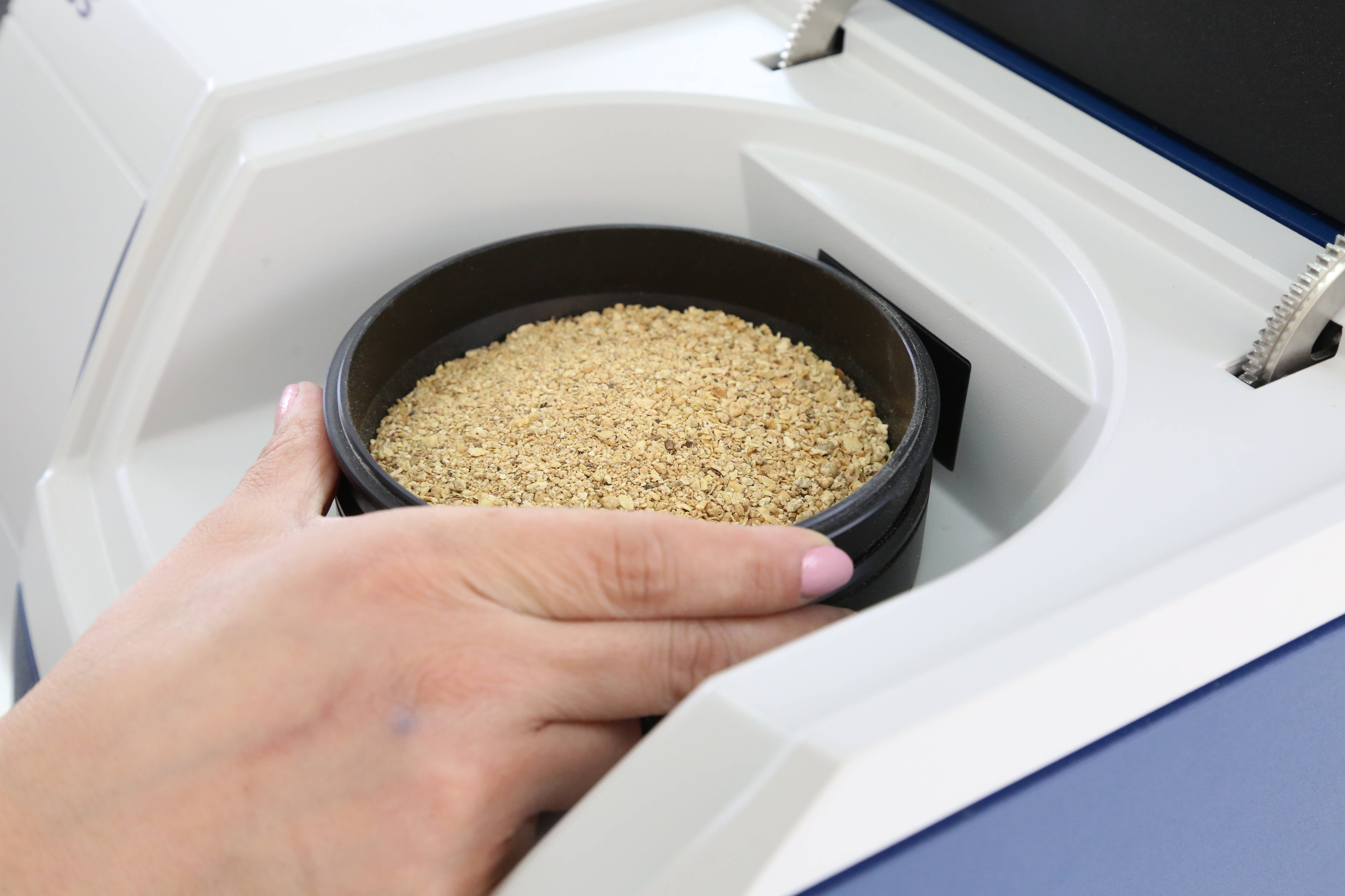 Lebanon Seed Support