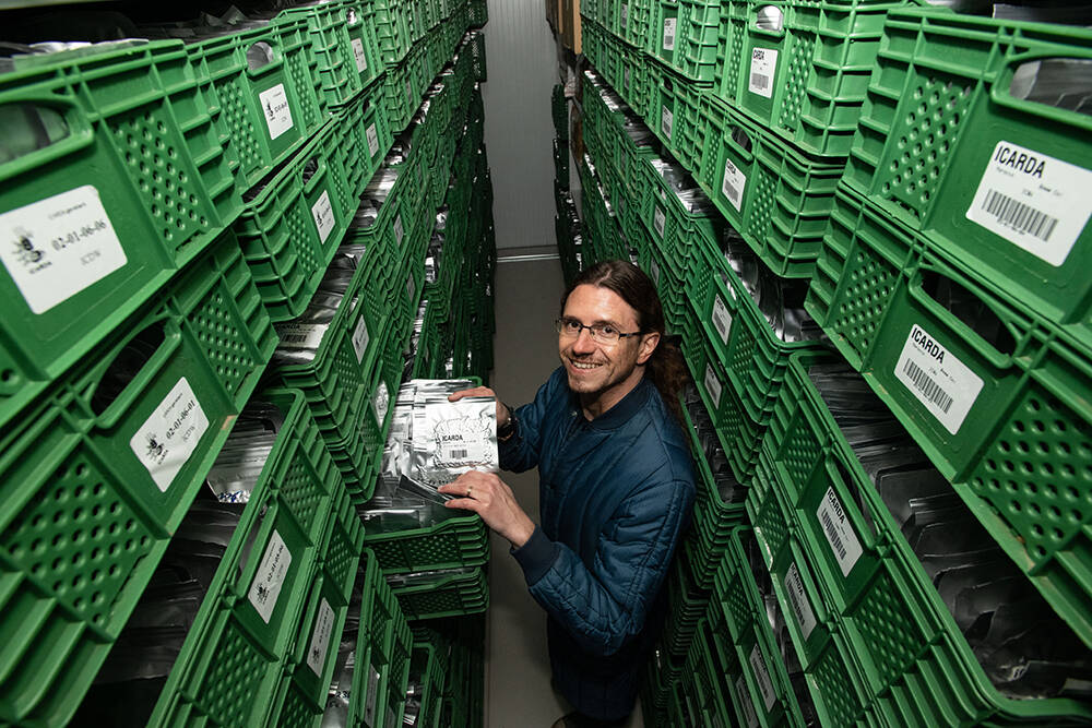 Genebank Manager Athanasios Tsivelikas in base collection cold room, Rabat, Morocco. Photo: Michael Major/Crop Trust