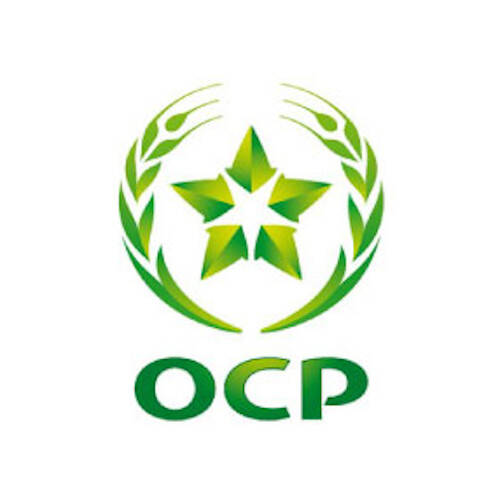 OCP Foundation