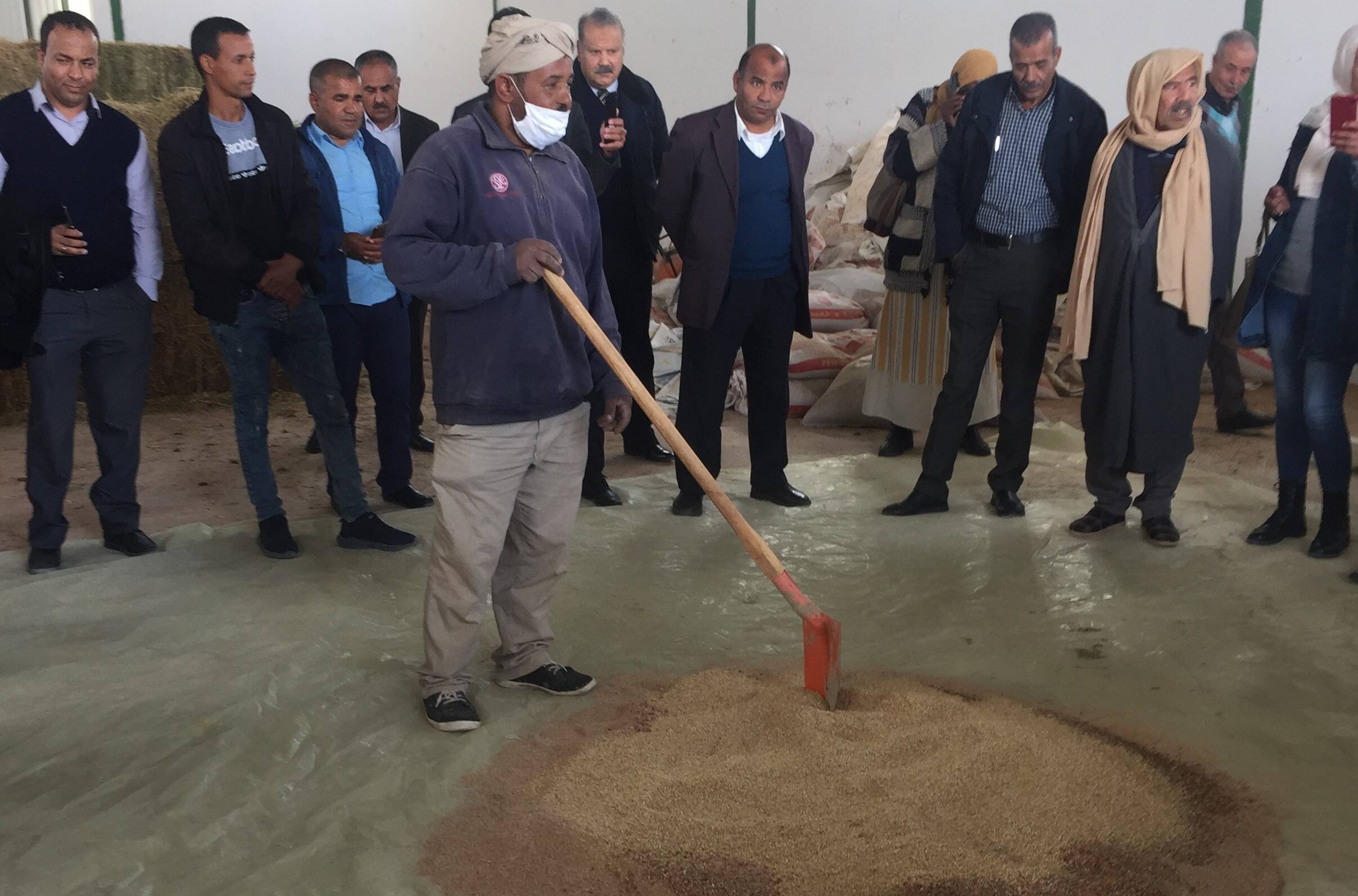 Mixing of barley grains and date kernels for food pellet production in Tunisia
