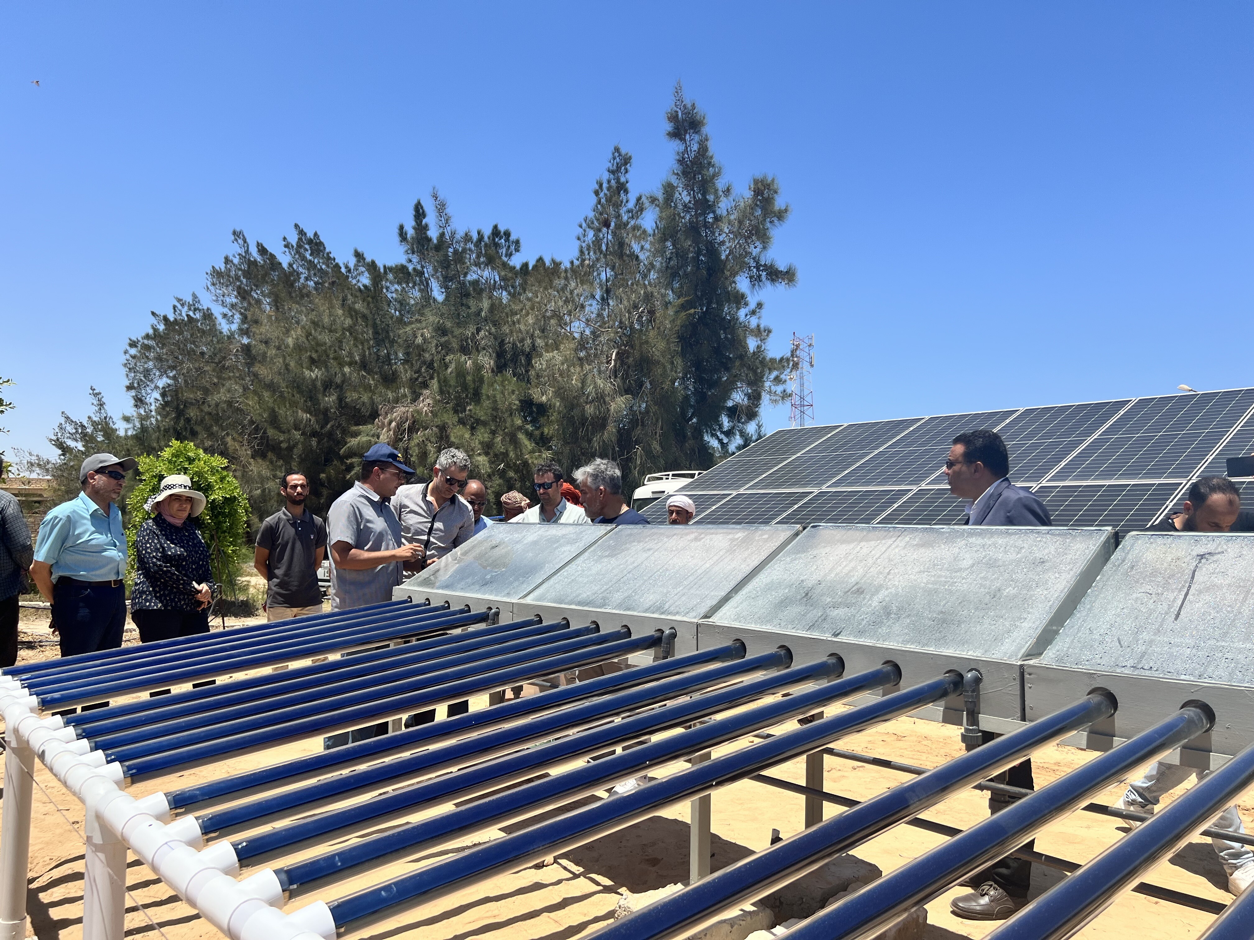 solar-powered hybrid desalination system