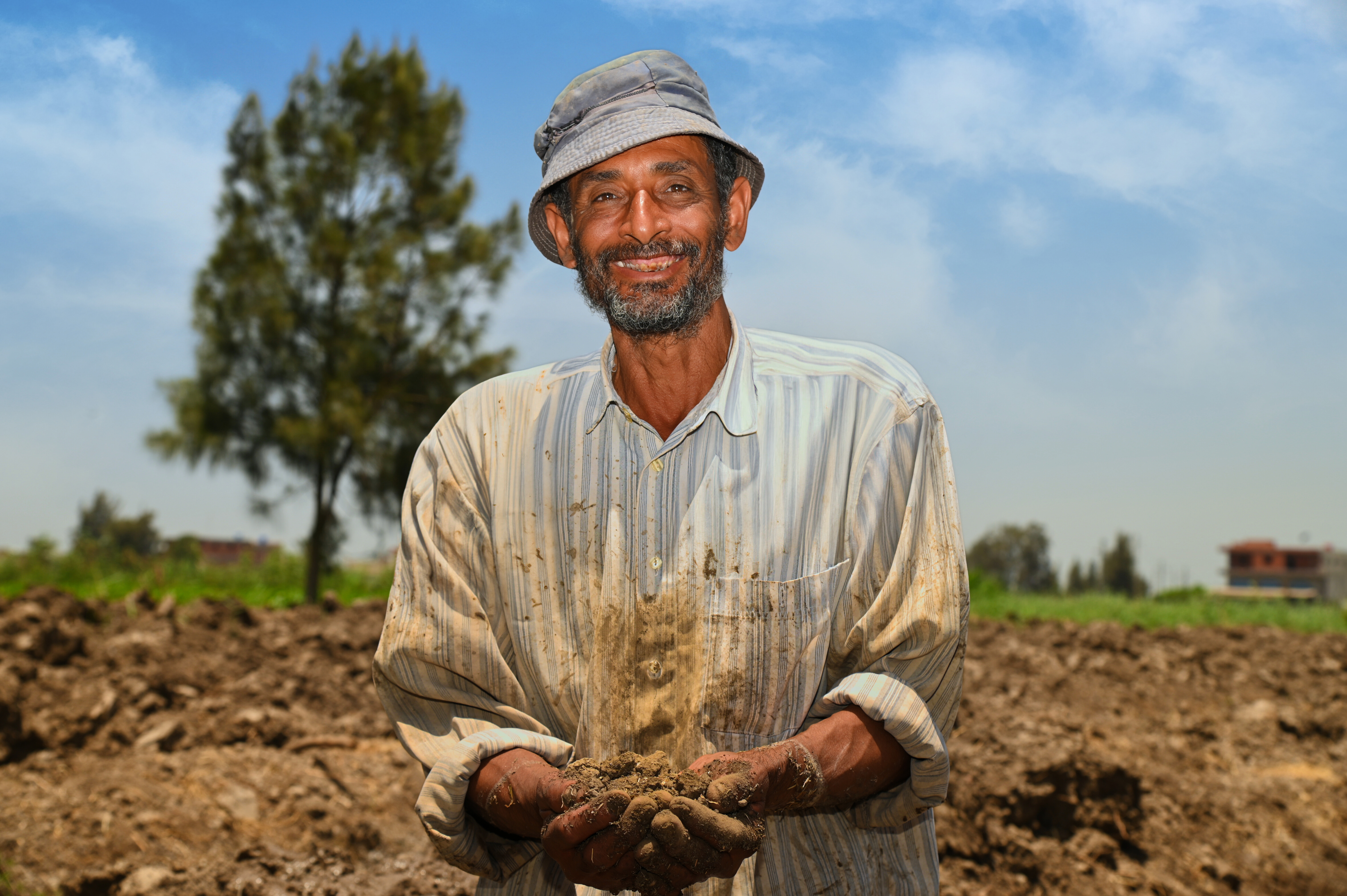 Farmer in his field, Kafr El-Sheikh, Egypt. Photo: Ahmed El Sheemy/ICARDA 