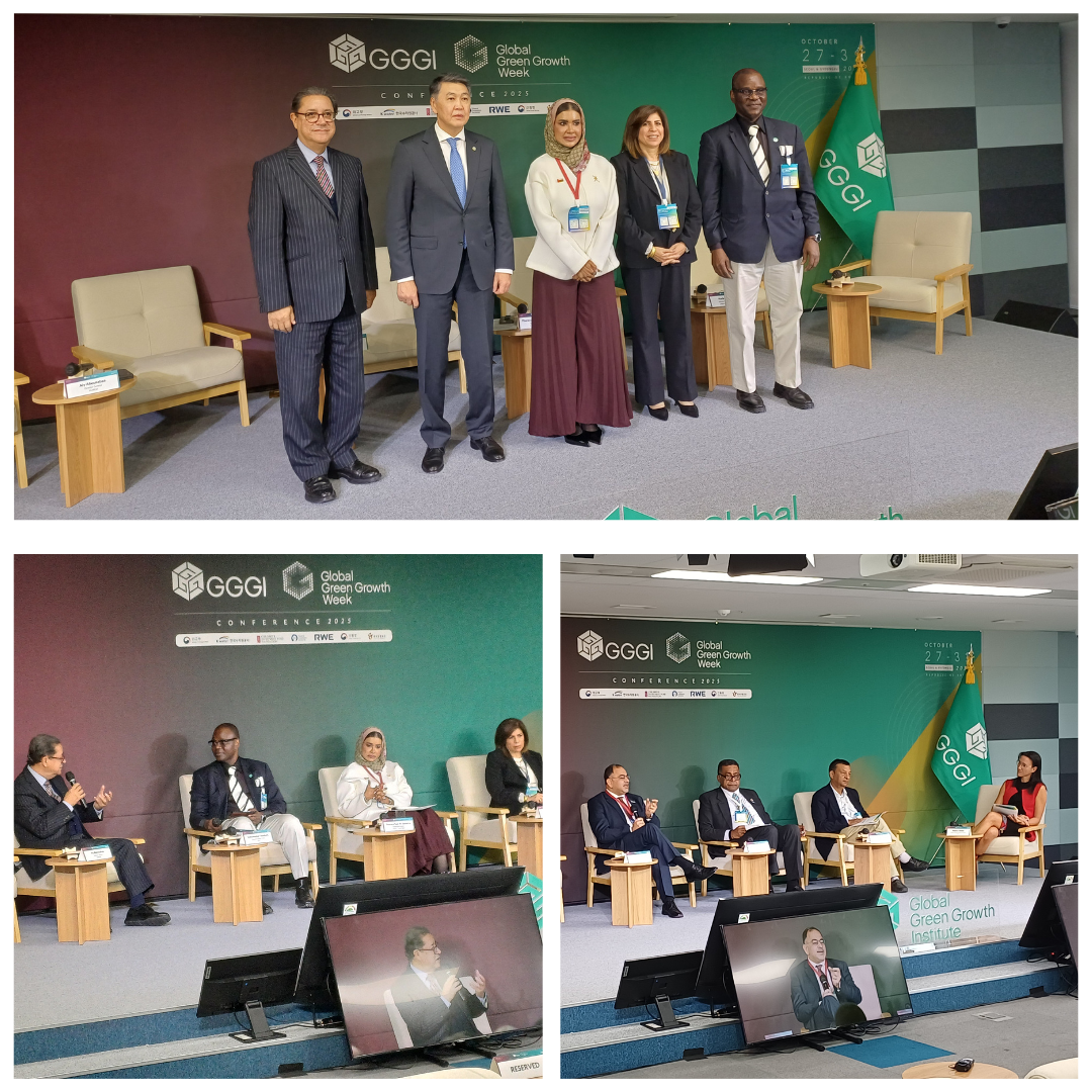 Mr. Aly Abousabaa and Dr. Vinay Nangia speaking at GGGWeek events.