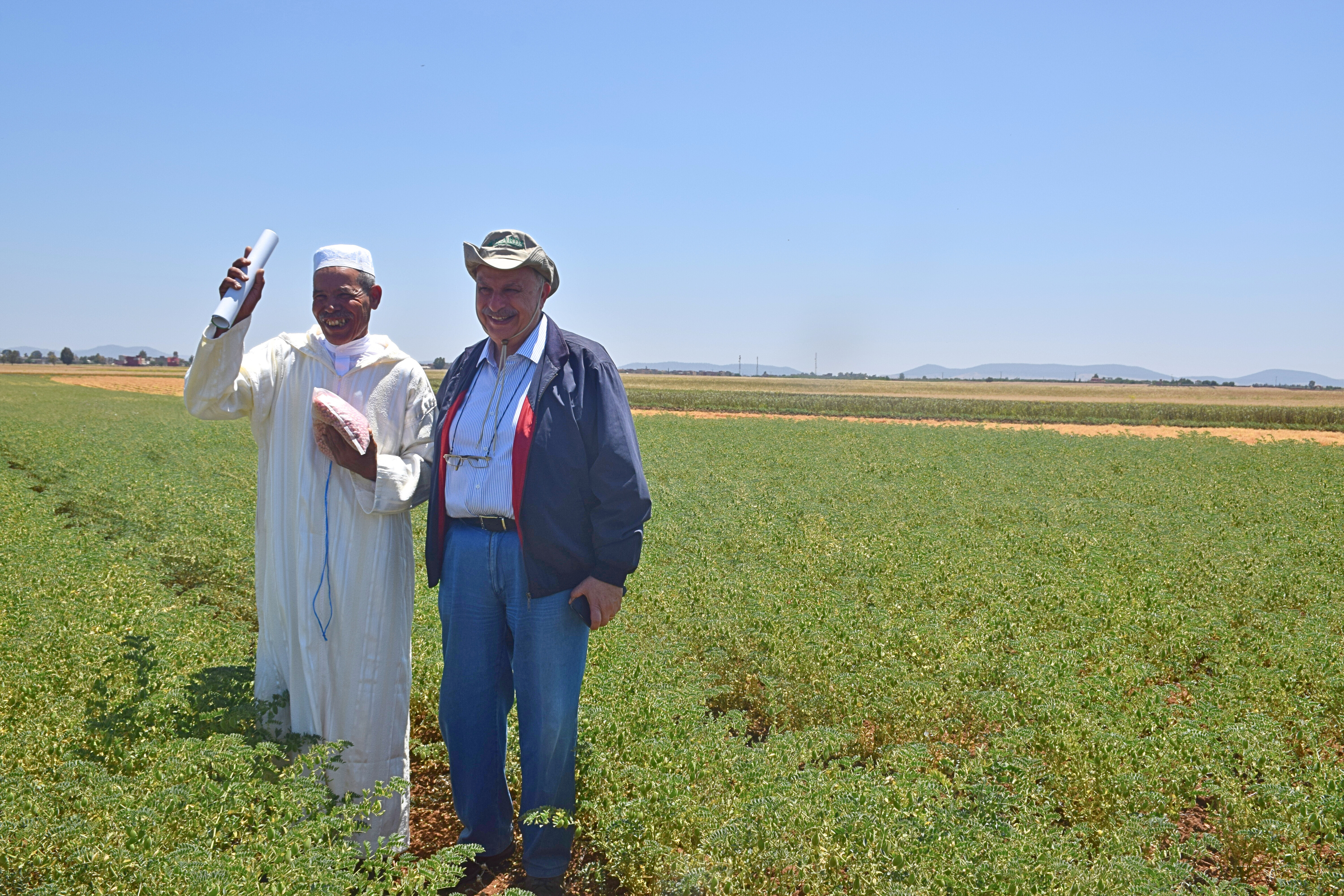 Dr. Mahmoud El Solh with a Moroccan farmer in an ICARDA chickpea variety field in Merchouch, 6 May 2015.