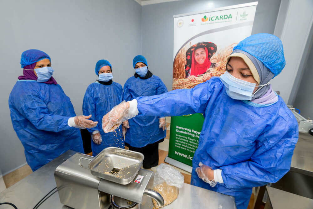 Small-scale post-harvest processing units
