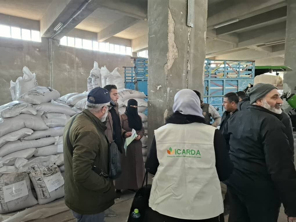 Seed distribution in Hama, Syria, with GOSM-supplied seeds delivered to Seed Growers Association (SGA) farmers.