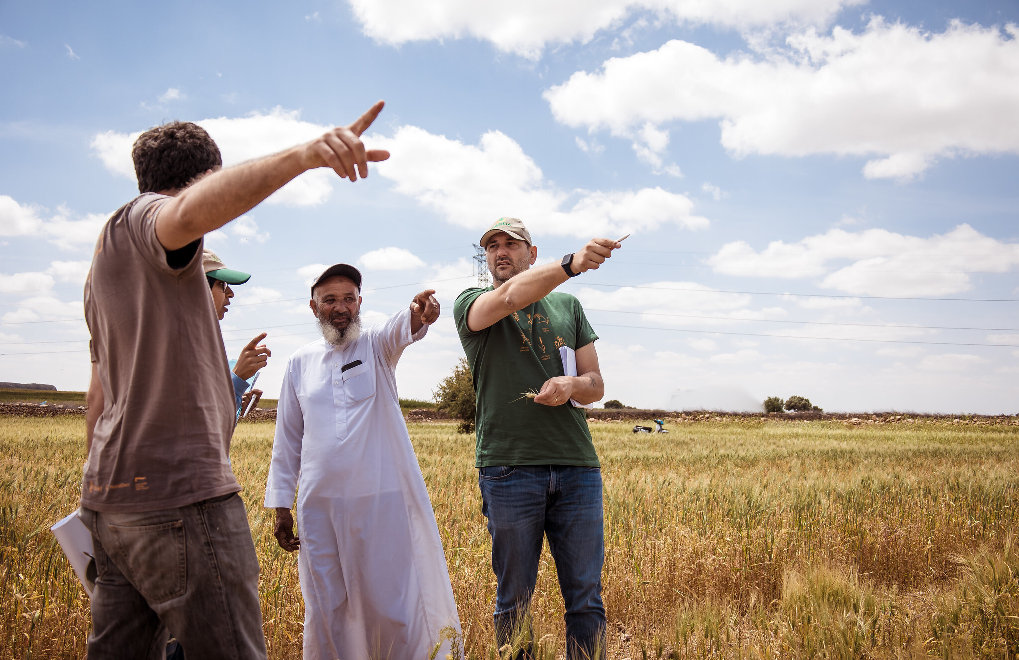 From left to right: Miguel Sanchez, Meryem Zeim, and Filippo Bassi talking with a farmer who evaluated the Jawahir durum wheat variety on his farm located in the dry region of Safi in Morocco. Photo: Ahmed Isamili/ Crop Trust 