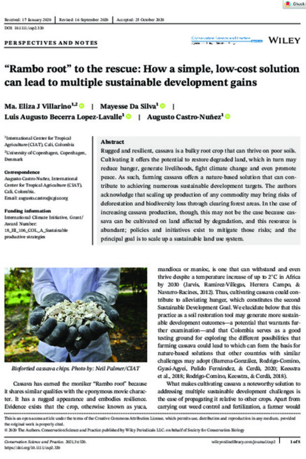 “Rambo root” to the rescue: How a simple, low-cost solution can lead to multiple sustainable development gains