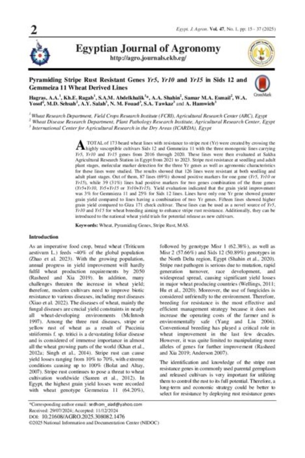 Pyramiding Stripe Rust Resistant Genes Yr5, Yr10 and Yr15 in Sids 12 and Gemmeiza 11 Wheat Derived Lines