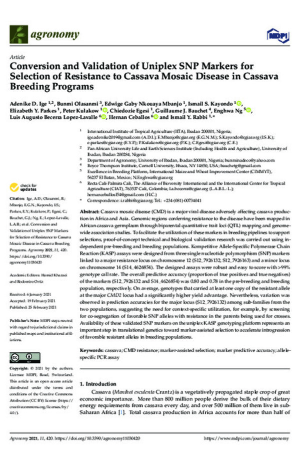 Conversion and Validation of Uniplex SNP Markers for Selection of Resistance to Cassava Mosaic Disease in Cassava Breeding Programs