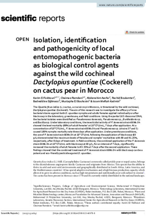 Isolation, identification and pathogenicity of local entomopathogenic bacteria as biological control agents against the wild cochineal Dactylopius opuntiae (Cockerell) on cactus pear in Morocco