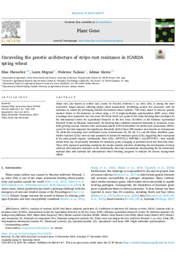 Unraveling the genetic architecture of stripe rust resistance in ICARDA spring wheat