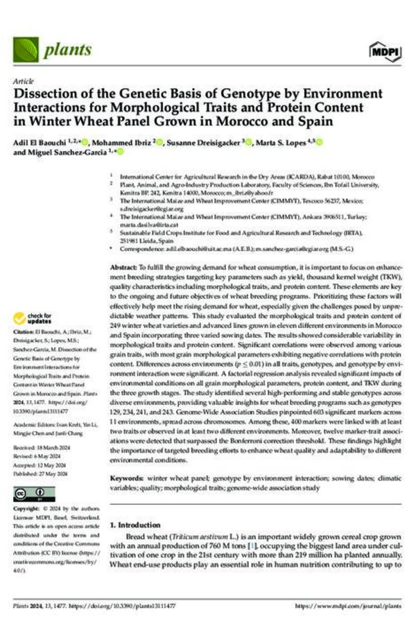 Dissection of the Genetic Basis of Genotype by Environment Interactions for Morphological Traits and Protein Content in Winter Wheat Panel Grown in Morocco and Spain