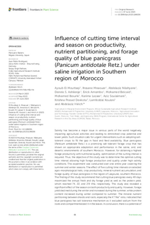 Influence of cutting time interval and season on productivity, nutrient partitioning, and forage quality of blue panicgrass (Panicum antidotale Retz.) under saline irrigation in Southern region of Morocco