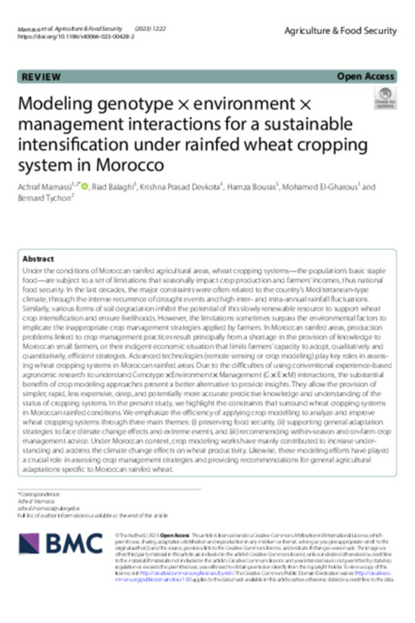 Modeling genotype × environment × management interactions for a sustainable intensification under rainfed wheat cropping system in Morocco