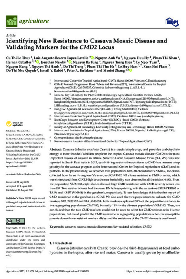 Identifying New Resistance to Cassava Mosaic Disease and Validating Markers for the CMD2 Locus