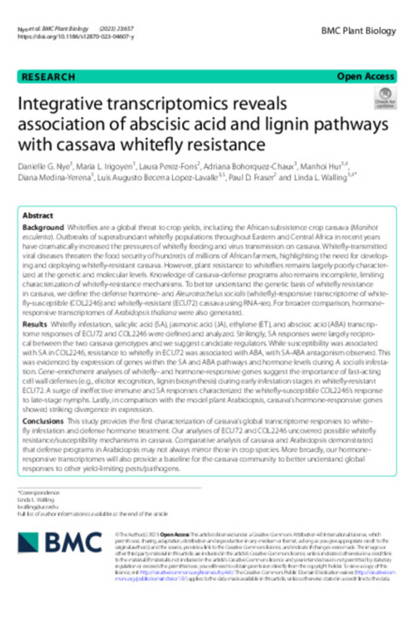 Integrative transcriptomics reveals association of abscisic acid and lignin pathways with cassava whitefly resistance