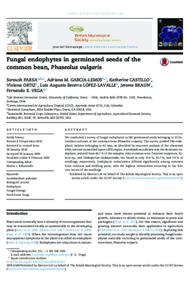 Fungal endophytes in germinated seeds of the common bean, Phaseolus vulgaris