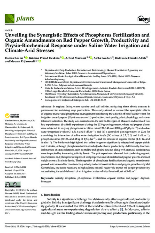 Unveiling the Synergistic Effects of Phosphorus Fertilization and Organic Amendments on Red Pepper Growth, Productivity and Physio-Biochemical Response under SalineWater Irrigation and Climate-Arid Stresses