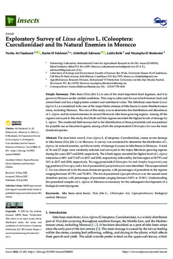 Exploratory Survey of Lixus algirus L. (Coleoptera: Curculionidae) and Its Natural Enemies in Morocco