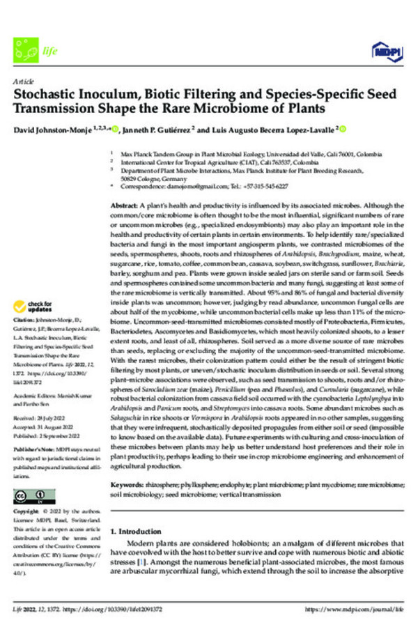 Stochastic Inoculum, Biotic Filtering and Species-Specific Seed Transmission Shape the Rare Microbiome of Plants