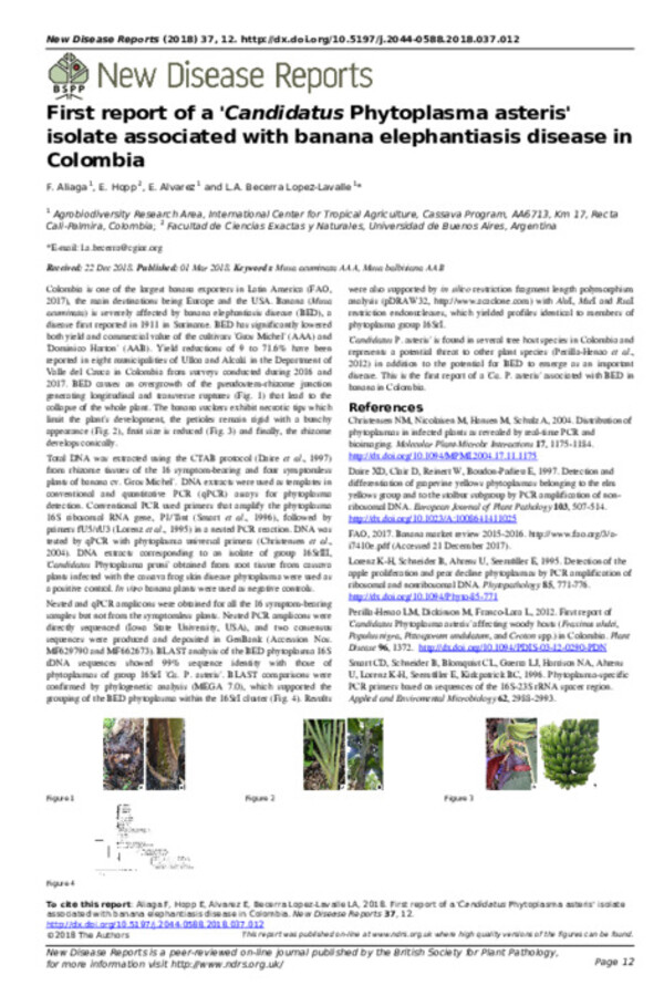 First report of a ‘Candidatus Phytoplasma asteris’ isolate associated with banana elephantiasis disease in Colombia