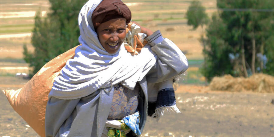 Carrying a small amount of harvested lentils because of lack of a donkey