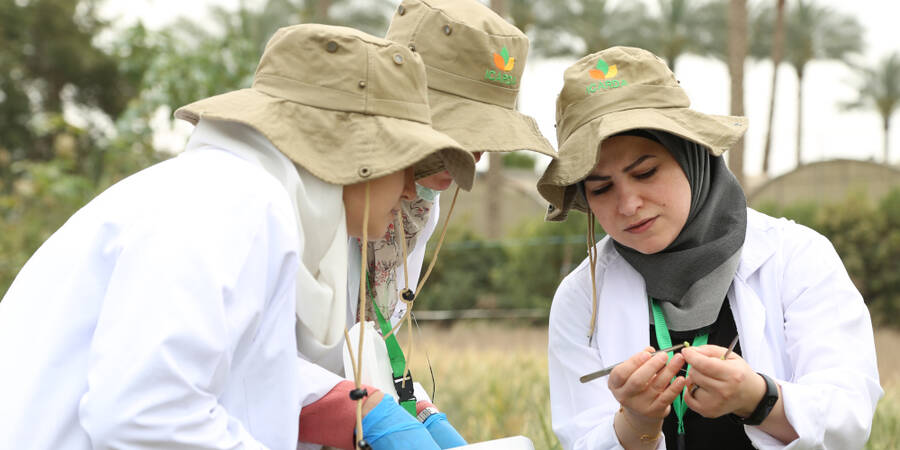 ICARDA Female Scientists