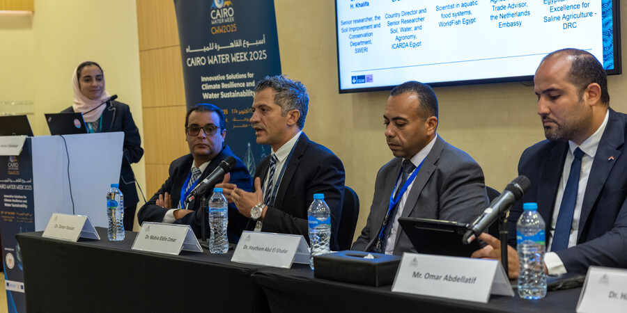 “Water and Soil Salinity in Egypt