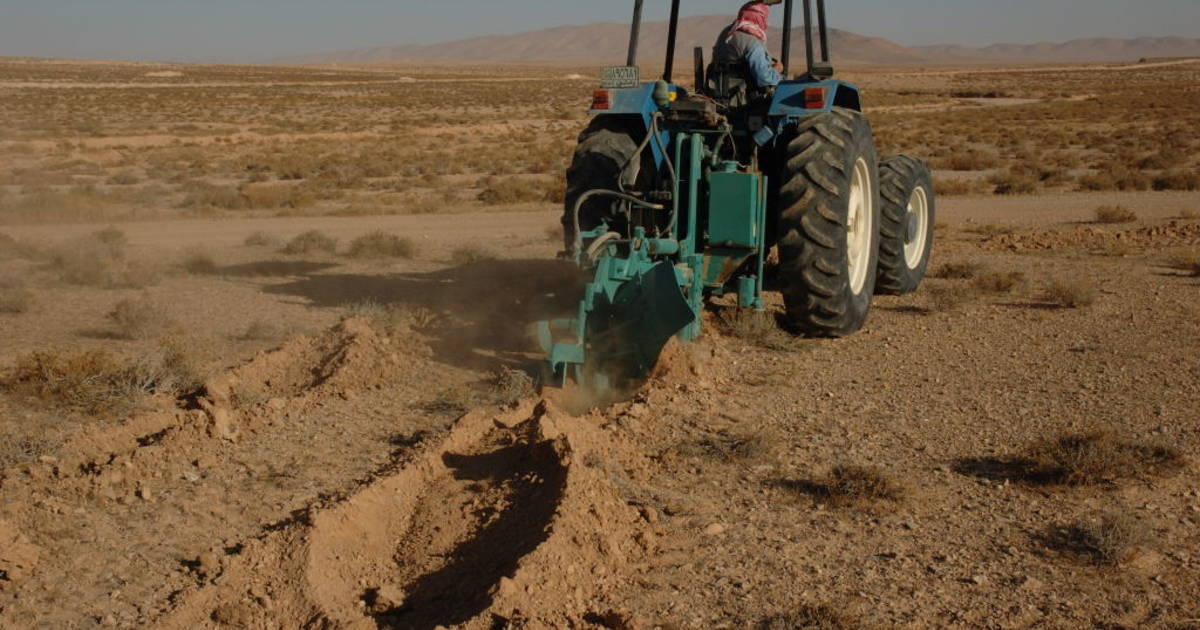 Water Harvesting For Restoring Rangelands In Jordan | ICARDA