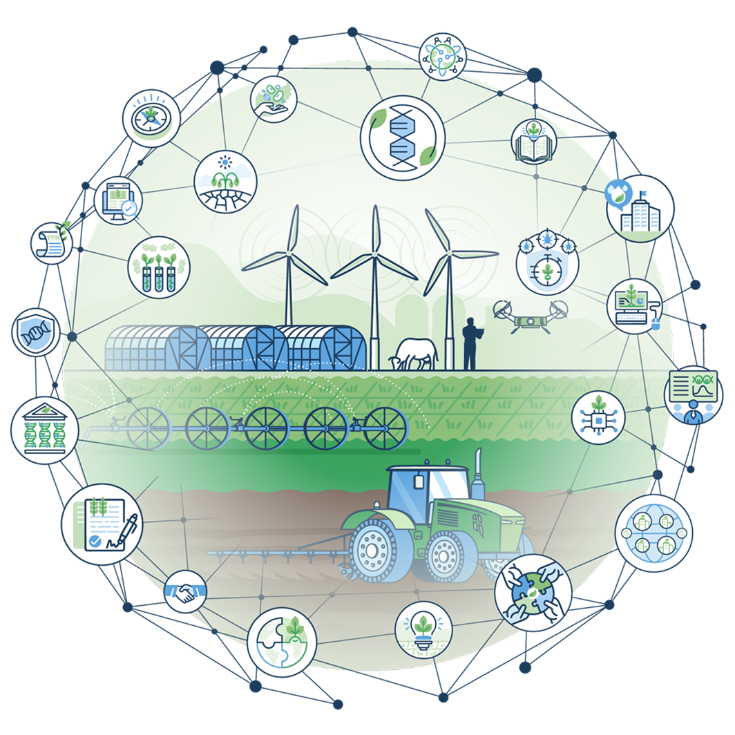 The Age of Acceleration