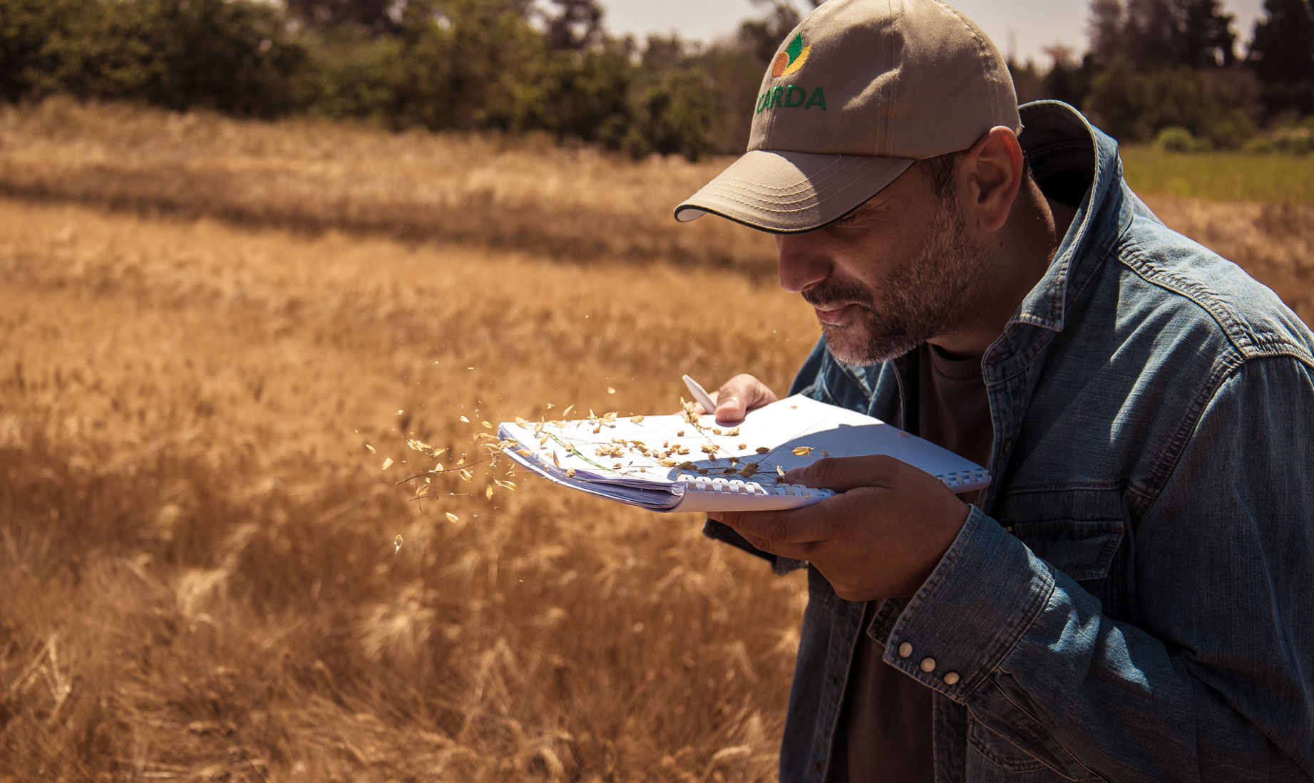 Dr. Filippo Bassi in a durum wheat field, BOLD Project 2025. Photo by Ahmed Ismaili/Crop Trust.