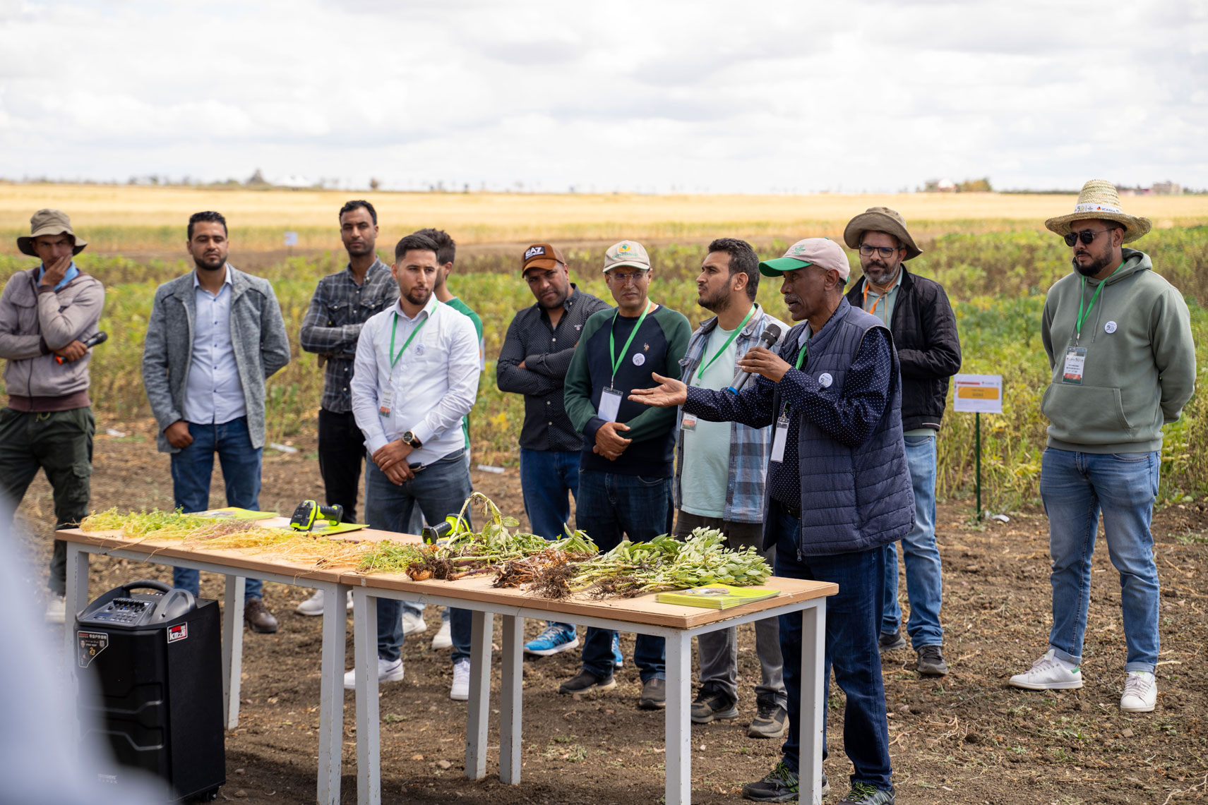 Dr. Seid-Ahmed Kemal and Plant Pathology team showcasing plant diseases. Merchouch Station, Morocco. 2025. Photo by Ismail Belkhadir/ICARDA.