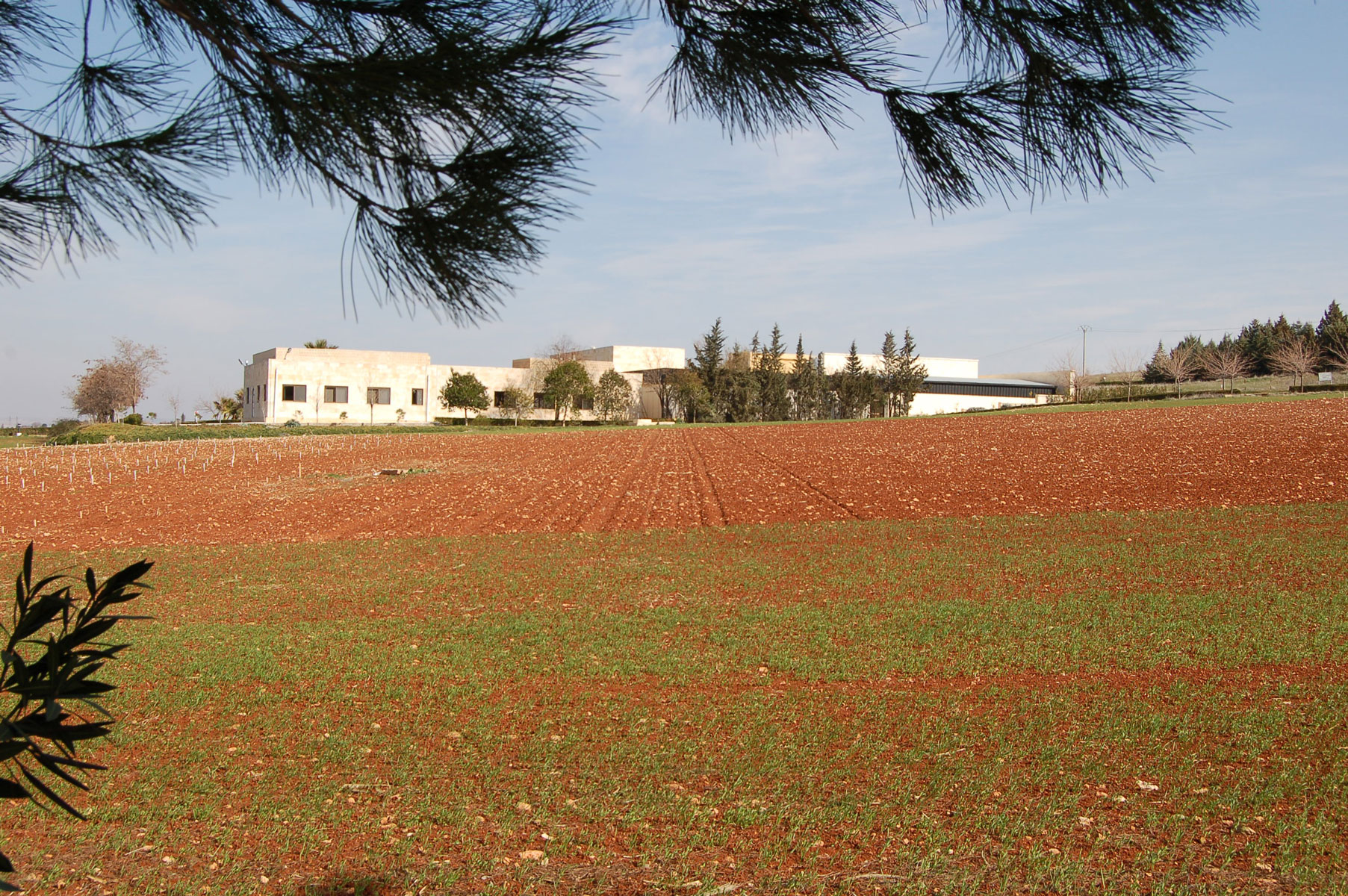 A view of ICARDA's facilities in Tal Hadya, Syria, 2007. Photo by Cary Fowler/Crop Trust.