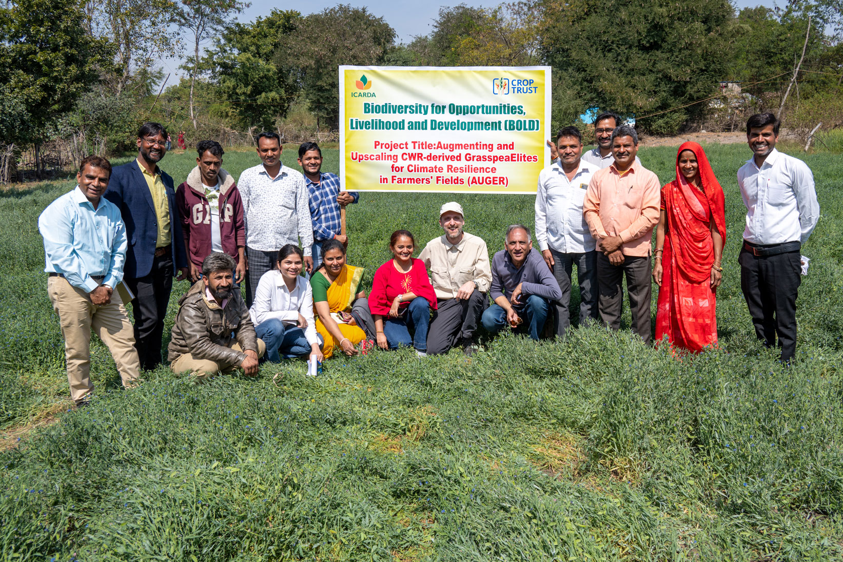 Visit to the BOLD grasspea demonstration farm cultivated by Mrs. Shushila Parmar in Bamuliya, District Sehore, India. 2024. Photo by Michael Major/Crop Trust.