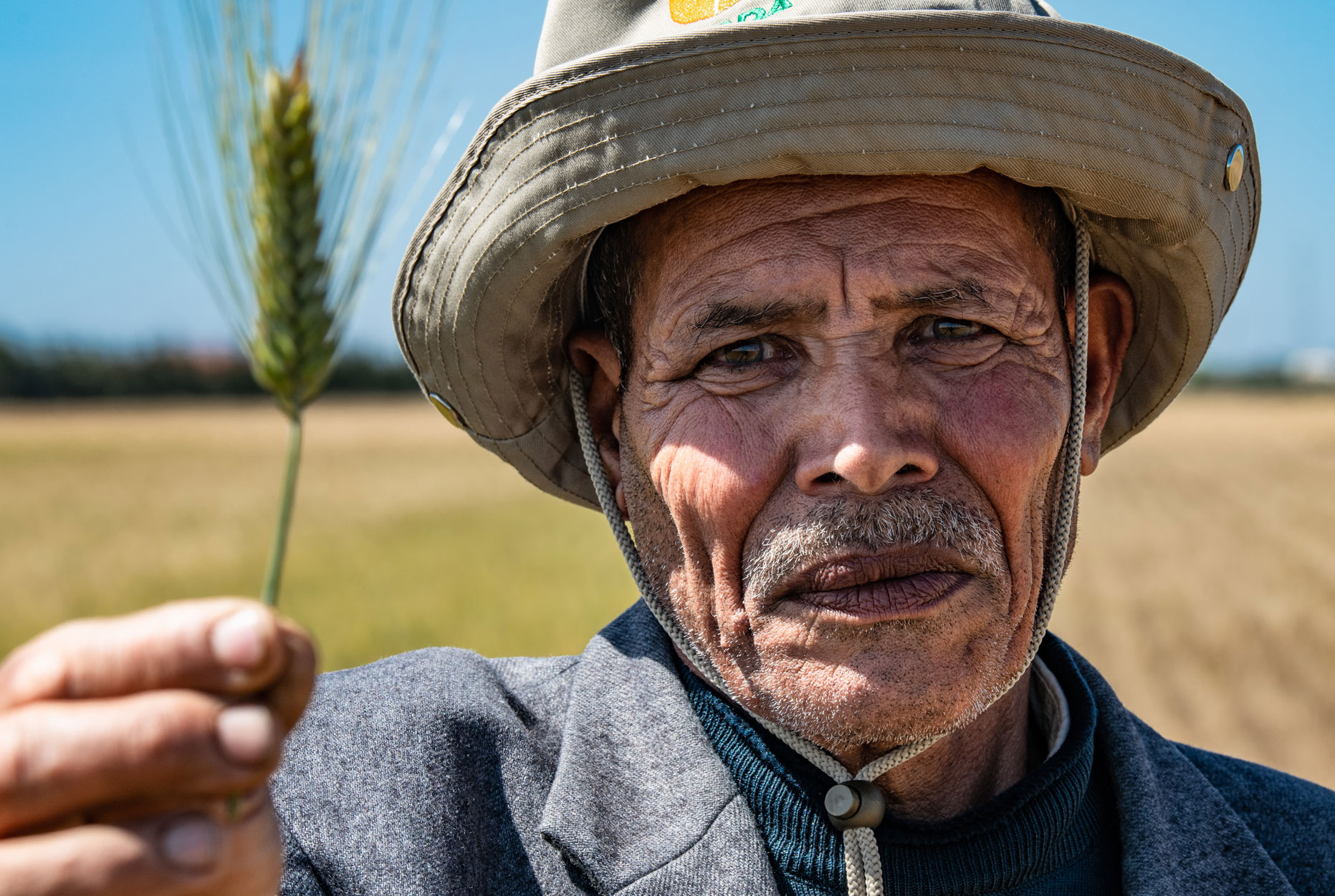 Moroccan Farmer holding a strand of an ICARDA durum wheat variety, Morocco. 2023. Photo by Michael Major/Crop Trust.