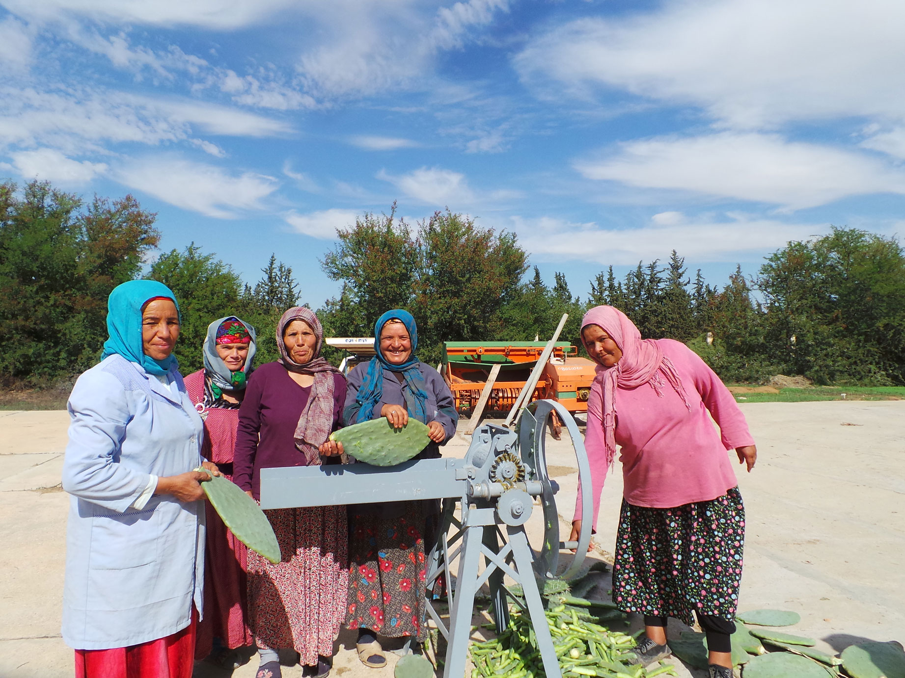 Tunisian lady farmers posing with the cactus chopper. GIZ-ICARDA Evaluation of Sustainable Forage Production, Tunisia. 2017.