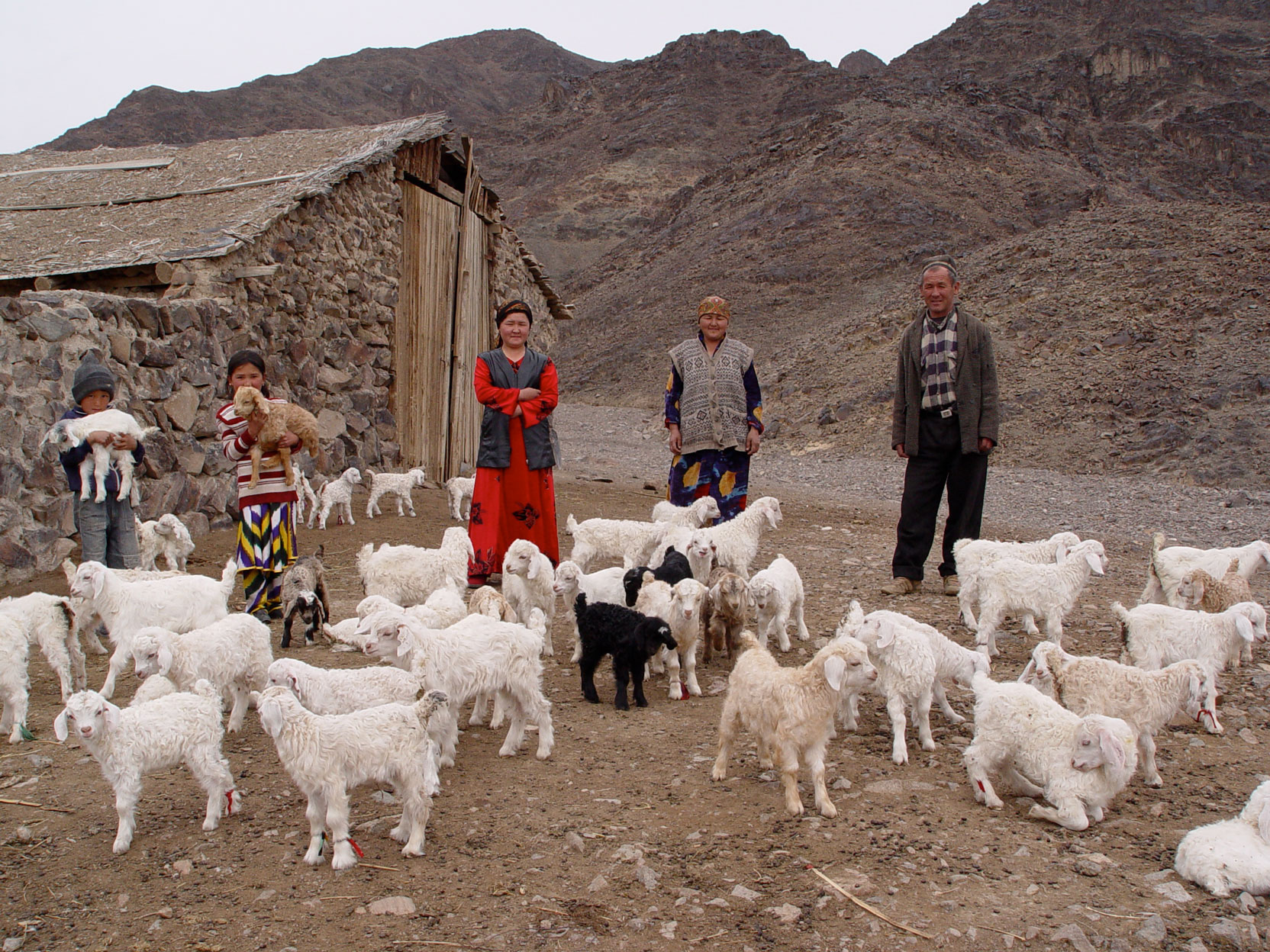 An Angora goat farmer with his family in northern Tajikistan, photographed in April 2007 as part of the ICARDA‑IFAD value chain project.