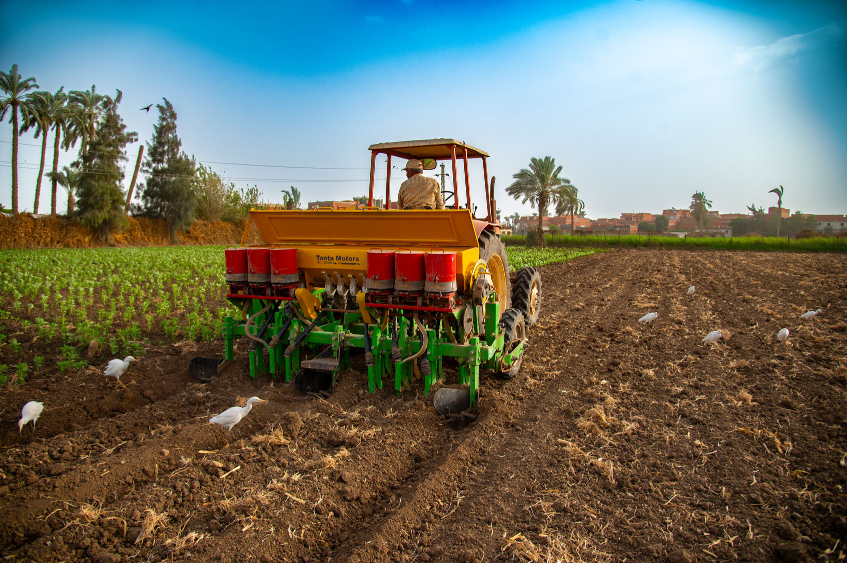 Farmer testing ICARDA's Raised Bed Machine in Beni Sueif, Egypt. 2023. Photo by Ahmed El Sheemy/ICARDA