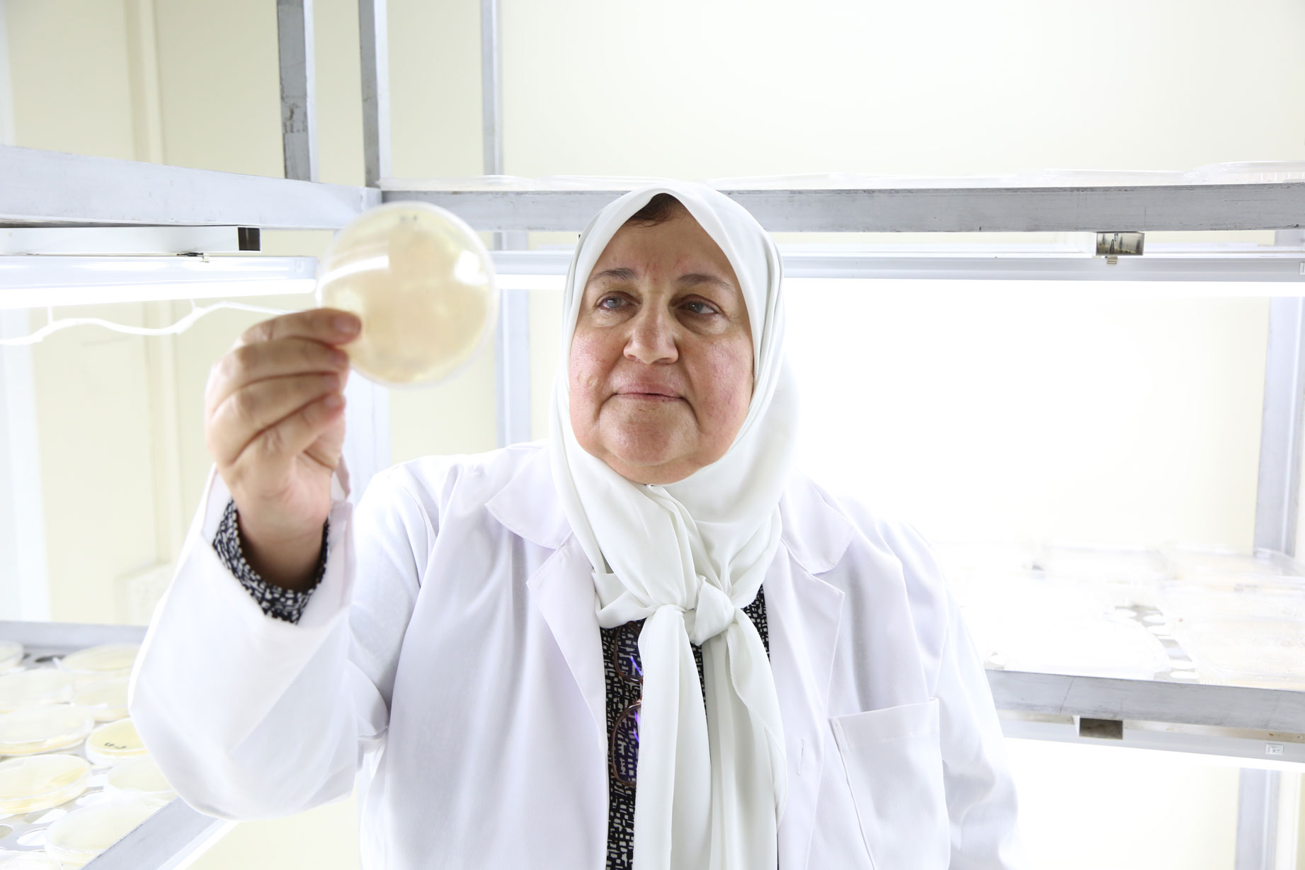 Dr. Safaa Kumari in her seed health lab in Lebanon. 2023. Photo by Roni Ziade/ICARDA.