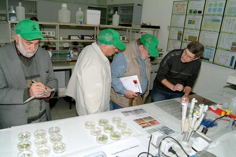 Inside ICARDA's Biotechnology Lab in Tel Hadya in 2009.