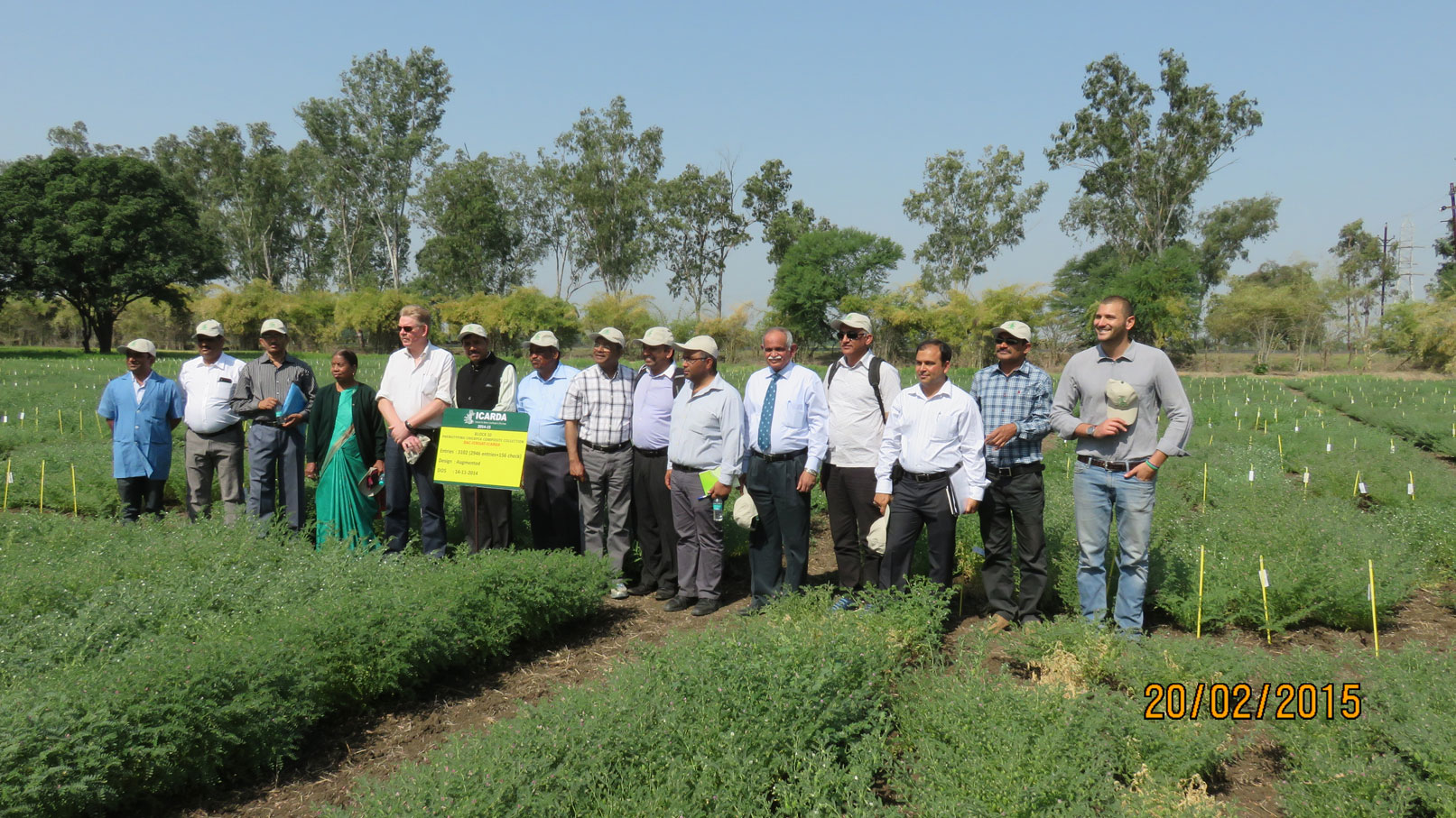 ICARDA's Food Legume Research Platform (FLRP) near Bhopal in the Indian state of Madhya Pradesh. 2015.