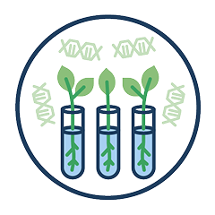 155,000+ Plant Accession